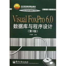 《Visual FoxPro 6.0數據庫與程序設計》（第3版）—— 21世紀大學計算機規劃與北京高等教育精品教材深度解析